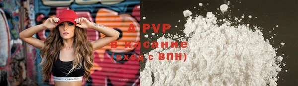 таблы Новозыбков