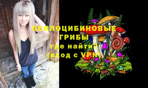 ПСИЛОЦИБИНОВЫЕ ГРИБЫ Алзамай