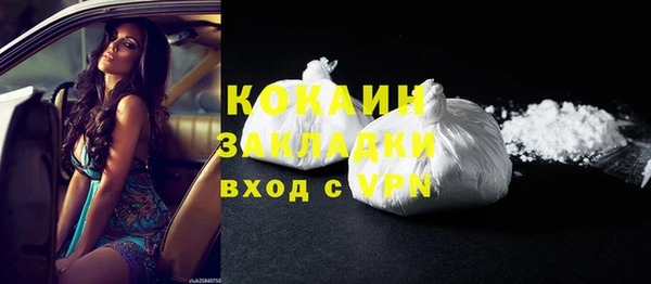 сатива Новокубанск