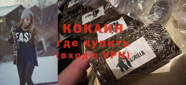 сатива Новокубанск