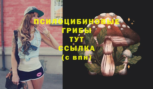 ПСИЛОЦИБИНОВЫЕ ГРИБЫ Алзамай