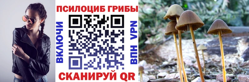 Галлюциногенные грибы Psilocybine cubensis  ОМГ ОМГ маркетплейс  Электрогорск 